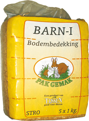 B03029_DET0.JPG